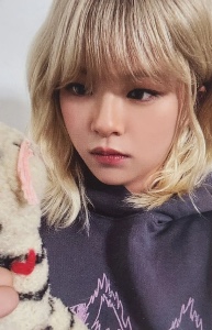 plushie jeongyeon