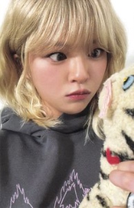 silly plushie jeongyeon