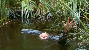 Dee Sinks in a Bog
