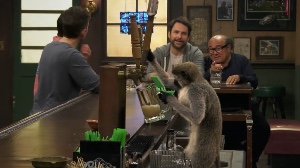The Gang Replaces Dee with a Monkey