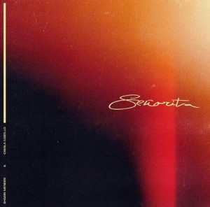 señorita - shawn mendes & camila cabello