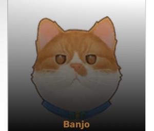 banjo