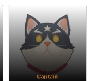 captain