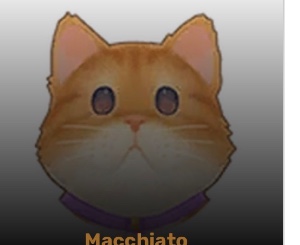 macchiato