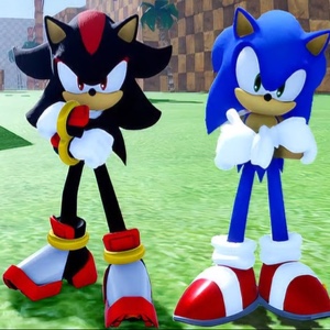 Sonic & Shadow