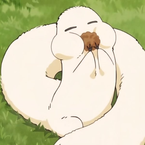 Brushbuddy