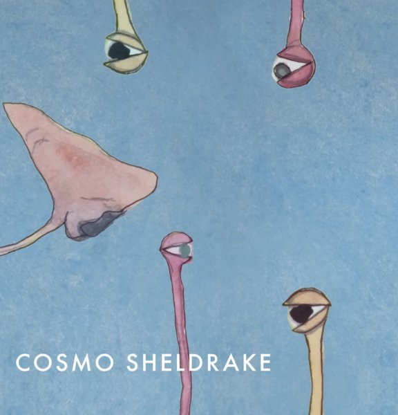 Does The Swallow Dream Of Flying - Cosmo Sheldrake