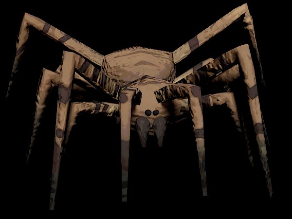 Bunker Spider