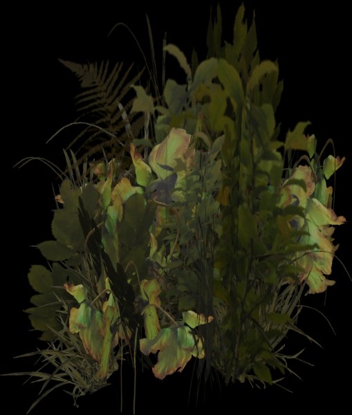 Cadaver Growths