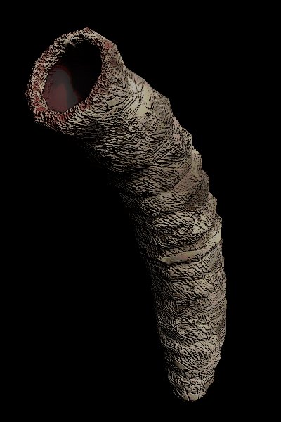 Earth Leviathan