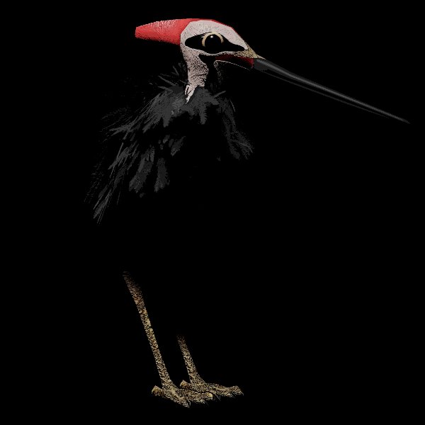 Gaint SapSucker