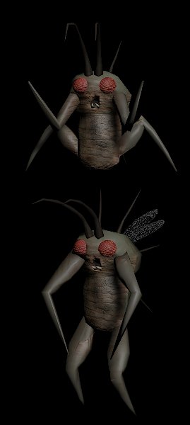 Hoarding Bug