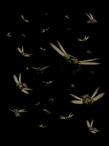 Roaming Locusts