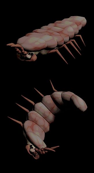 Snare Flea