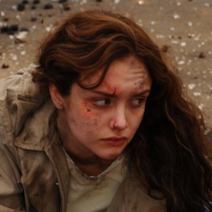 haley (the signal)