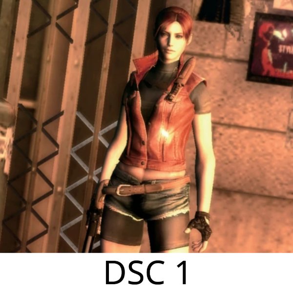 DSC 1