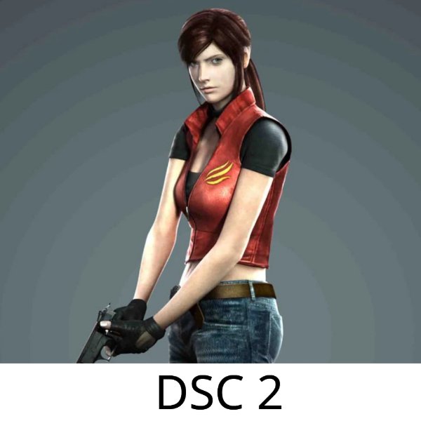 DSC 2