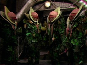 Terror of the Vervoids