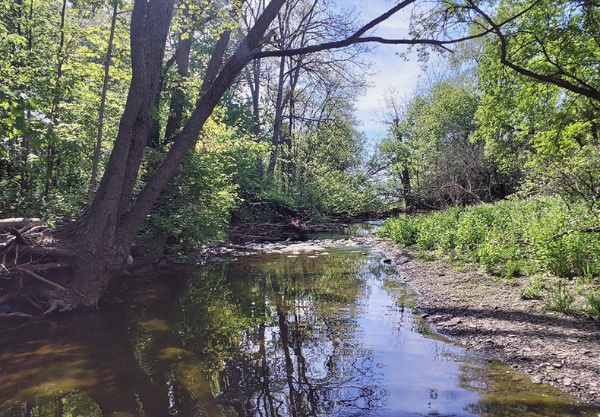 A creek