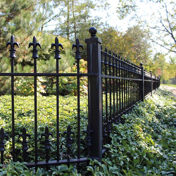 Iron fences