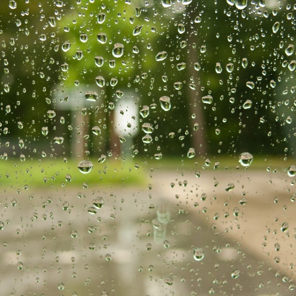 Sunny rain