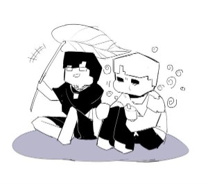 Stray x Husk