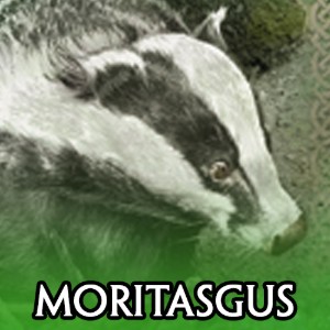 Moritasgus