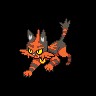 Torracat