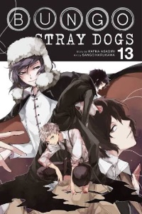 Volume 13