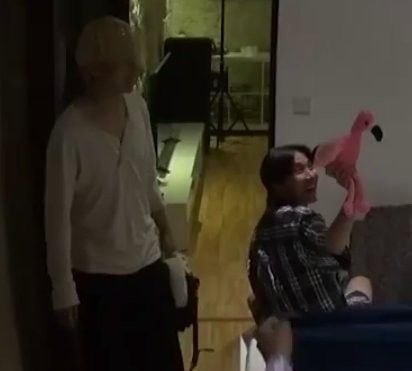 🦩❤️💚