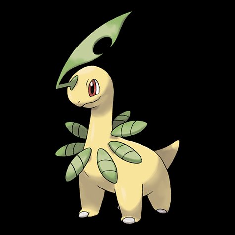 bayleef
