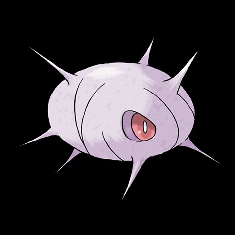 cascoon