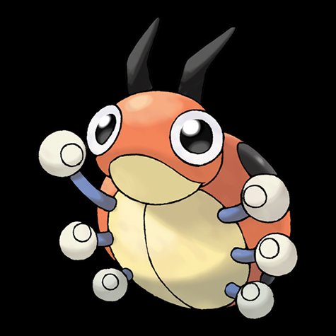 ledyba