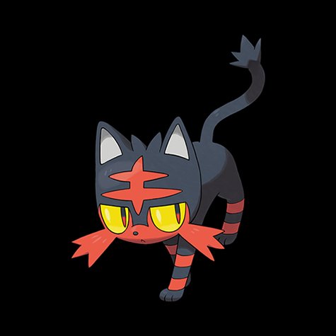 litten