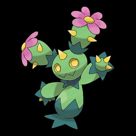 maractus
