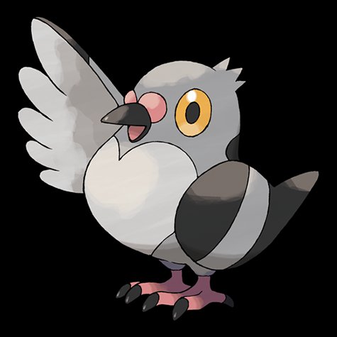 pidove
