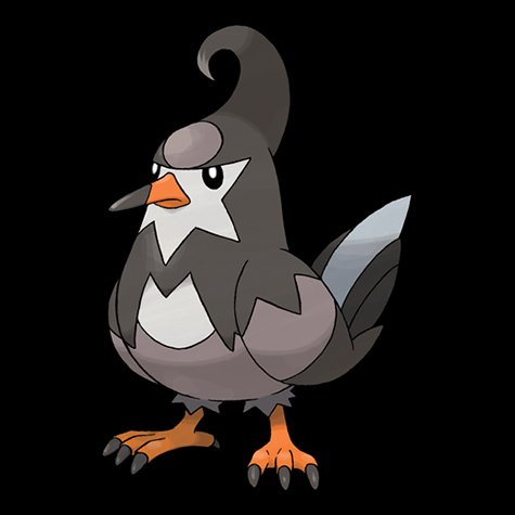 staravia