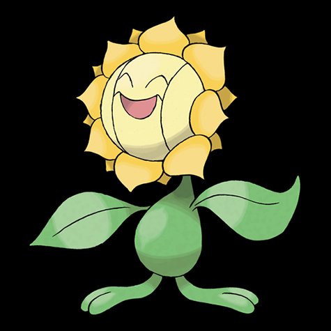 sunflora