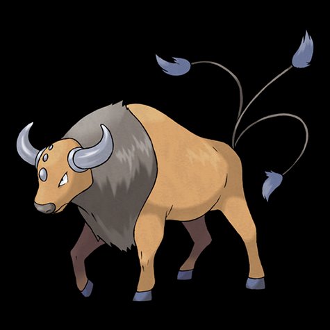 tauros