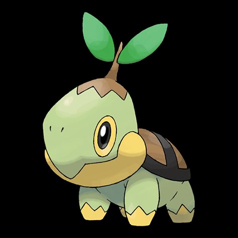 turtwig