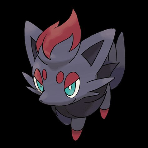 zorua