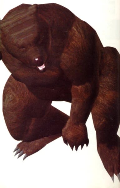 Kuma