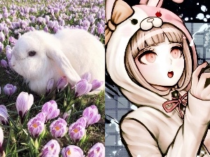 FloralGamer