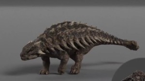Ankylosaurus (JWD)