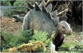 Baby Stegosaurus (TLW)