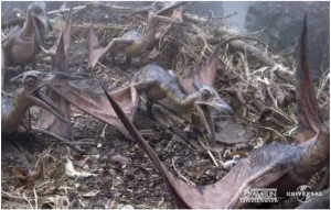 Infant Pteranodon (JP3)