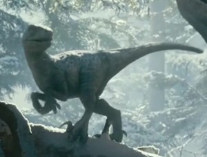 Juvenile Velociraptor "Beta"