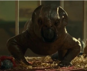 Lystrosaurus