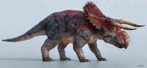Male Nasutoceratops