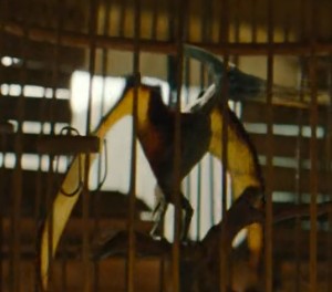 Pigmy Pteranodon (JWR)